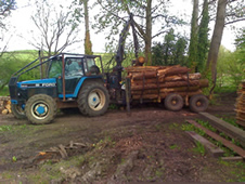 Timber collected locally from around Dorset